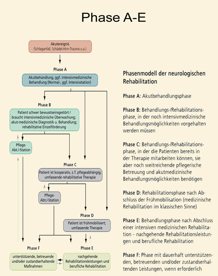 Phasenmodell